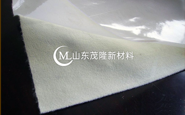 一布一膜 第2張