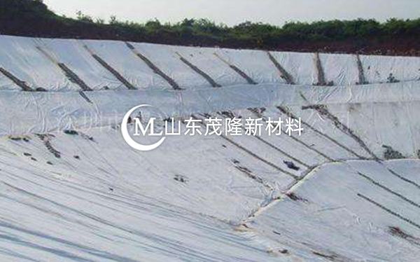 《東平湖生態(tài)防護(hù)林建設(shè)項(xiàng)目》復(fù)合土工膜施工