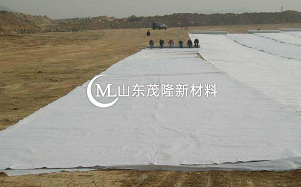 《天府機(jī)場TJ6標(biāo)》土工格柵、土工布、排水板施工