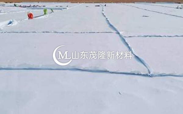 《臺輝高速》土工布、土工格柵施工