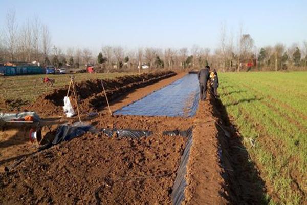 淺藕池使用土工膜成本是多少？  第2張