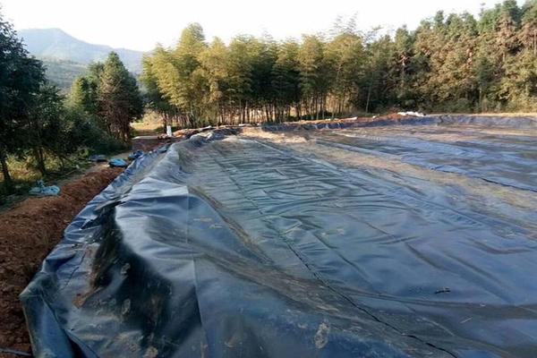 不同環(huán)境對土工膜性能的影響及其分析  第3張