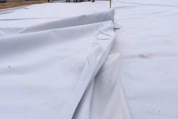 工程中應(yīng)用復(fù)合土工膜的優(yōu)勢(shì)以及使用體驗(yàn)分享  第1張