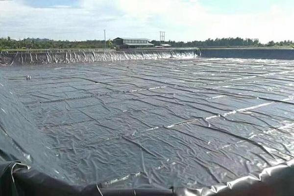 土工膜粘層強度測試詳解 第2張