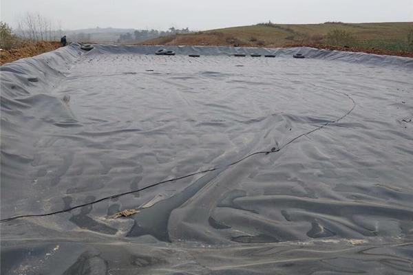 土工膜在種植中的應用價值：防滲土工膜能否用于種植？  第2張