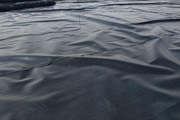 土工膜在種植中的應用價值：防滲土工膜能否用于種植？  第3張