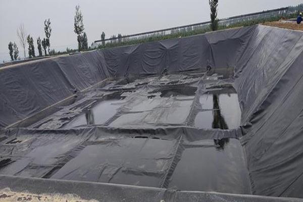 魚塘中使用土工膜的好處  第1張