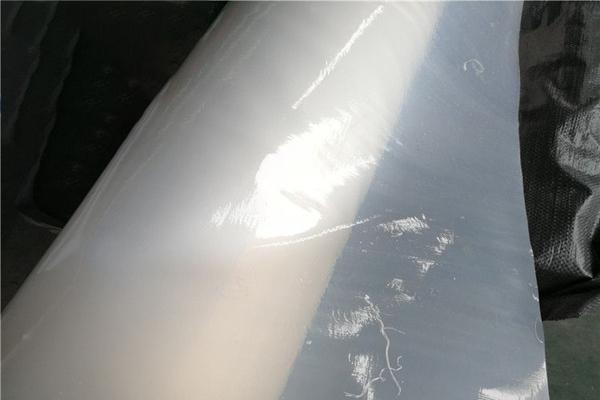 白色土工膜主要用在哪些工程中  第1張